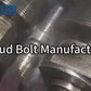 Bolt Fastener A320 L7 L43 Blue PTFE Coating Thread Xylane Stud Bolt with Heavy Hex Nuts